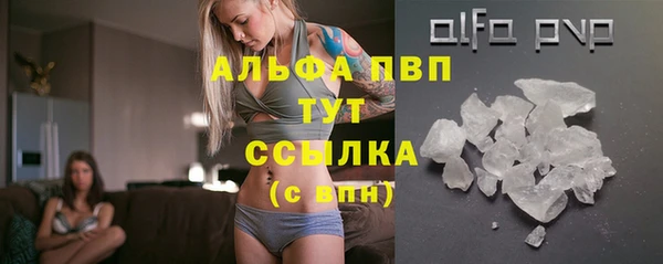 стафф Абаза